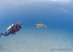 Mr H in action - photographing the turtle shown in his la... by Mark Thomas 